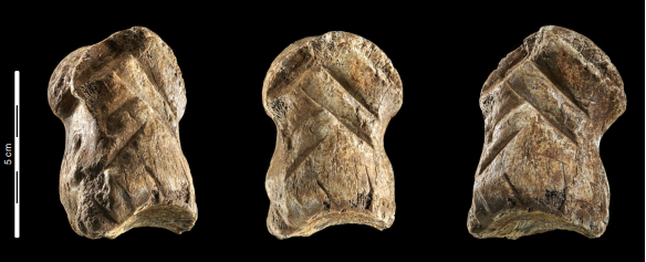 51,000 বছর আগে তিনি একটি নিয়ান্ডারথাল হাড়ের উপর জ্যামিতিক নকশা খোদাই করেছিলেন