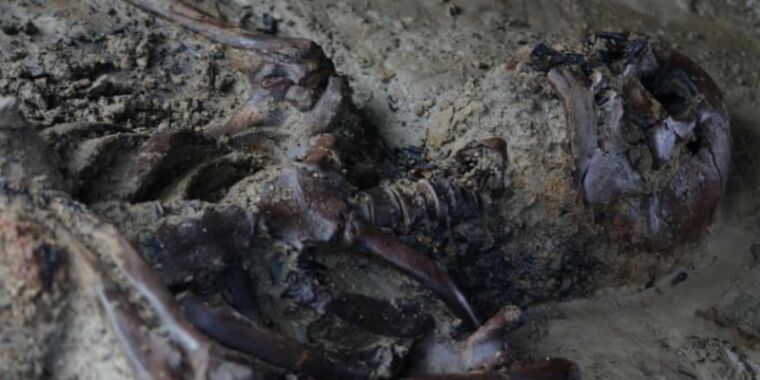 প্রত্নতাত্ত্বিকরা নতুন হারকিউলেনিয়াম খননের সময় ভিসুভিয়াসের শিকারকে আংশিকভাবে আহত খুঁজে পান