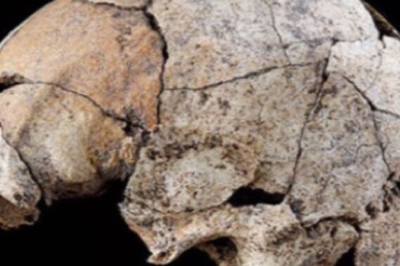 এই 5,300 বছরের পুরানো খুলিটি প্রাচীনতম পরিচিত কানের অস্ত্রোপচারের প্রমাণ দেখায়