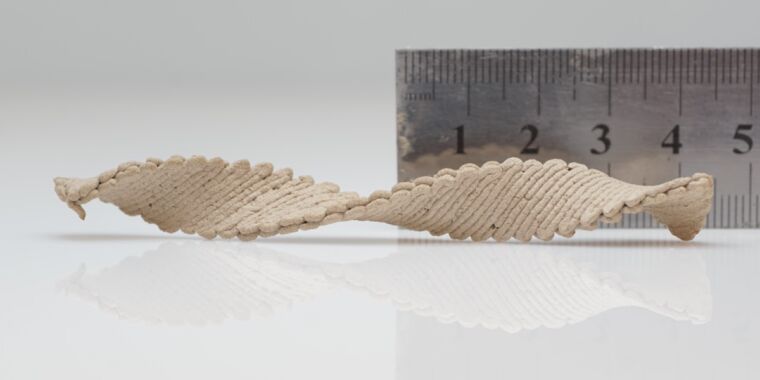 এই স্ব-মর্ফিং 3D কাঠের আকারগুলি কাঠ উত্পাদনের ভবিষ্যত হতে পারে