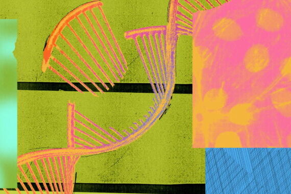 ডোনেগাল অ্যামিকে হত্যা করার জন্য CRISPR-এর অনুসন্ধান